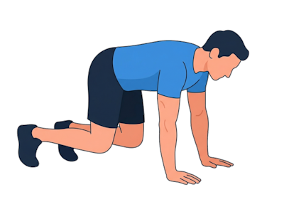 Bear Crawl
